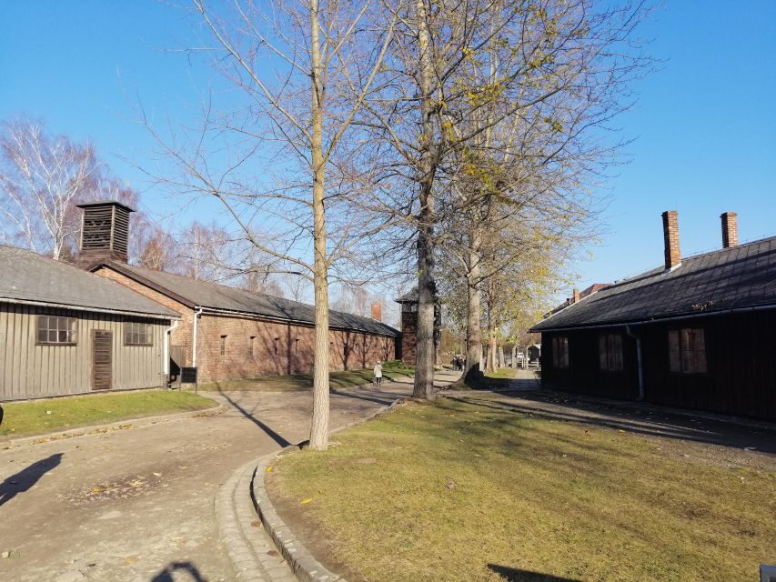 From Warsaw: Auschwitz-Birkenau Tour by Car - Key things to know before you go