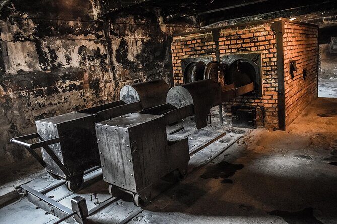 From Warsaw: Auschwitz-Birkenau Tour with Premium Train Transportation - Price and value: why $224.76 can make sense