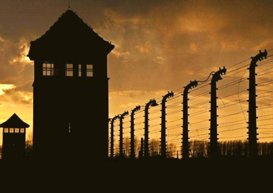 From Warsaw: Auschwitz Day Tour by Private Car with Lunch - Should you book this Auschwitz-Birkenau day tour from Warsaw?