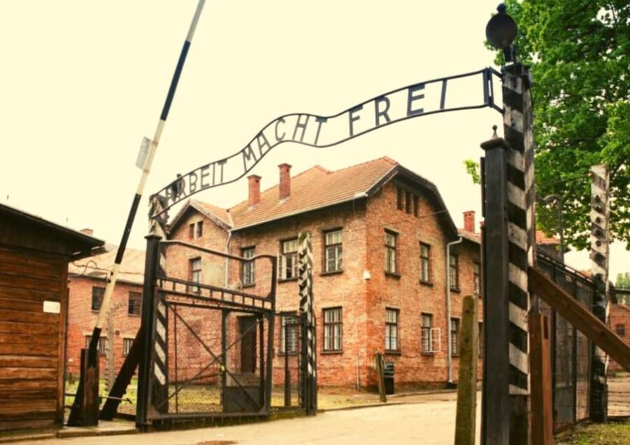 From Warsaw: Auschwitz Day Tour by Private Car with Lunch - Skip-the-line entry and small-group touring: practical value