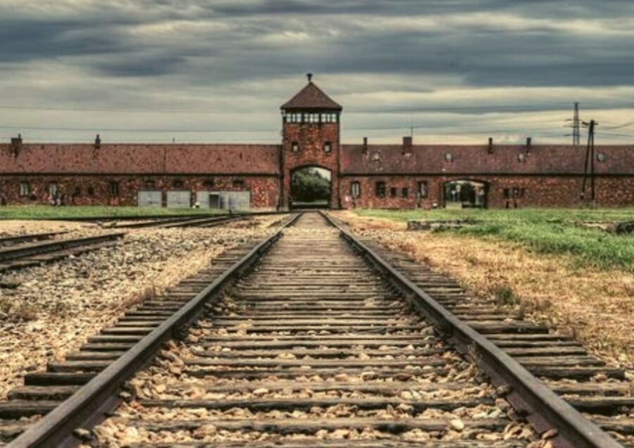 Krakow and Auschwitz Small-Group Tour from Warsaw with Lunch - Who This Tour Fits Best (And Who Should Choose Something Else)