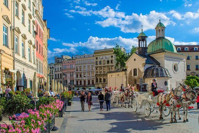 Krakow & Auschwitz day tour from Warsaw by private car with Lunch - Languages and Guides: Practical Notes for Communication