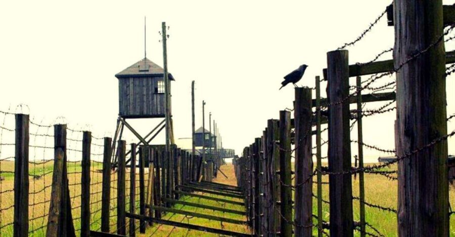 Lublin & Majdanek Small-Group Tour from Warsaw with Lunch - Majdanek State Museum: A Quiet, Focused Guided Visit