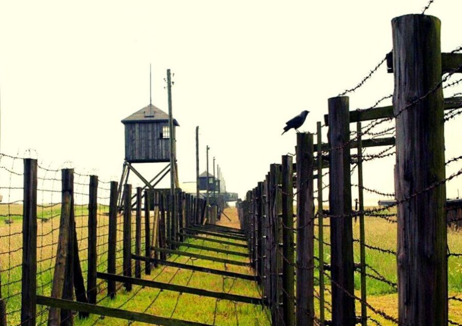 Lublin & Majdanek Small-Group Tour from Warsaw with Lunch - Price and Logistics: What You’re Actually Paying For