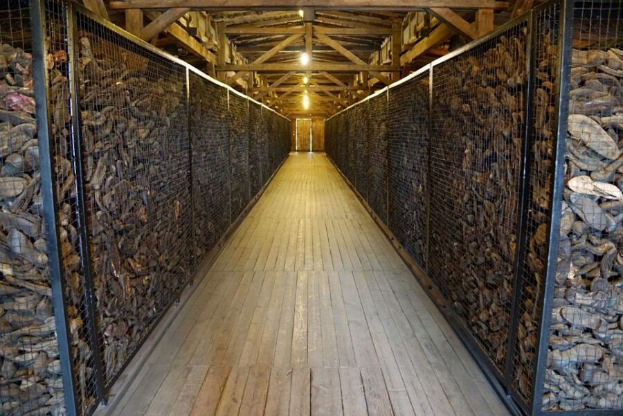 Warsaw: Majdanek Concentration Camp & Lublin Guided Day Tour - Practical tips for shoes, questions, and when the museum is closed