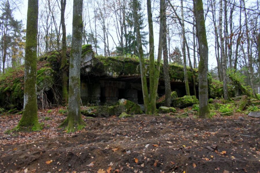 Warsaw: Private Full-Day Wolf's Lair Tour - Price and value: what $382 buys you (and what it doesn’t)