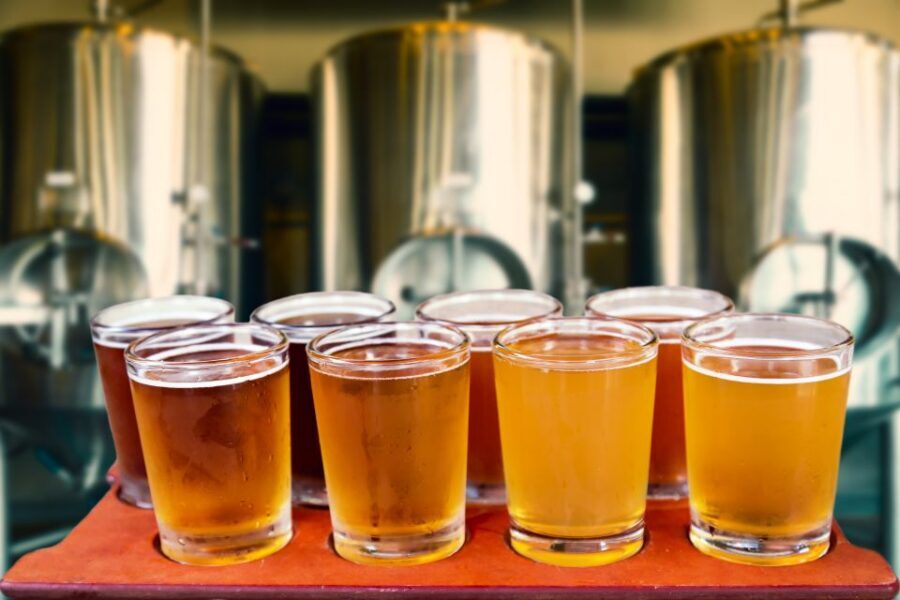 Warsaw Private Polish Beer Tasting Tour at Best Pubs & Bars - Old Town stops: what each venue experience can feel like