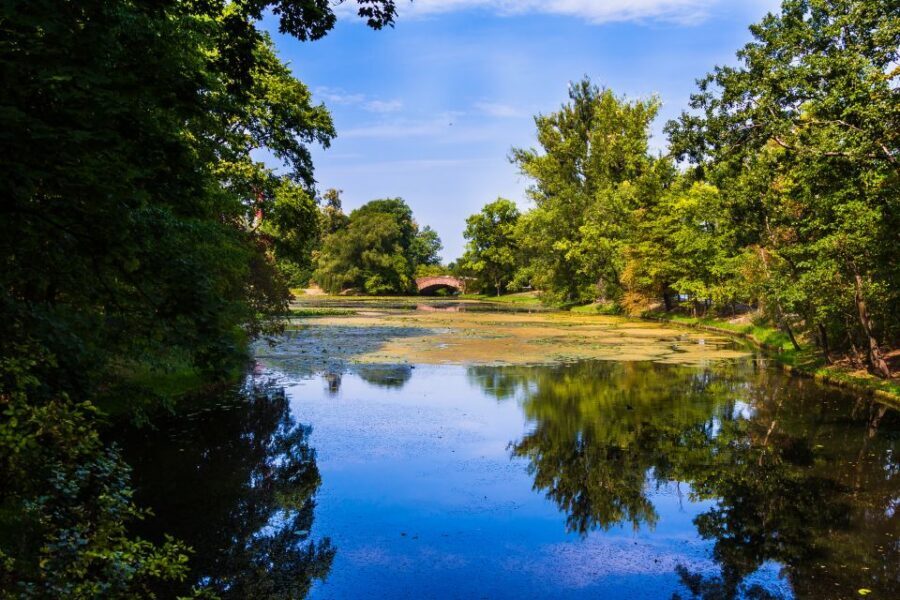 Warsaw Private Wilanow Palace & Garden Tour - Guide Quality Matters: Multilingual, Live, and Consistently Praised