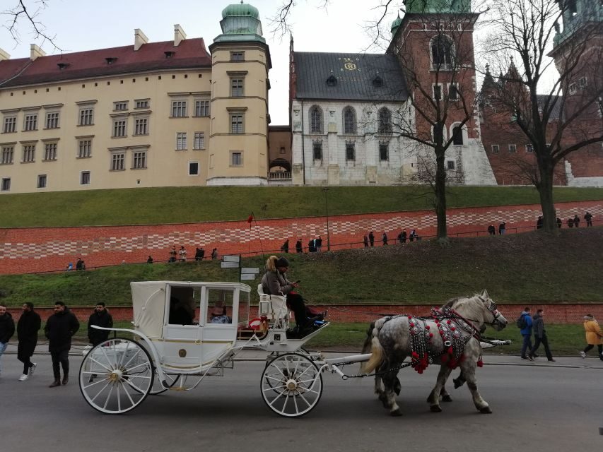 Warsaw: Tour to Krakow and Auschwitz by Train with Pickup - Entering Auschwitz and Birkenau: what the guided 3.5 hours is built for